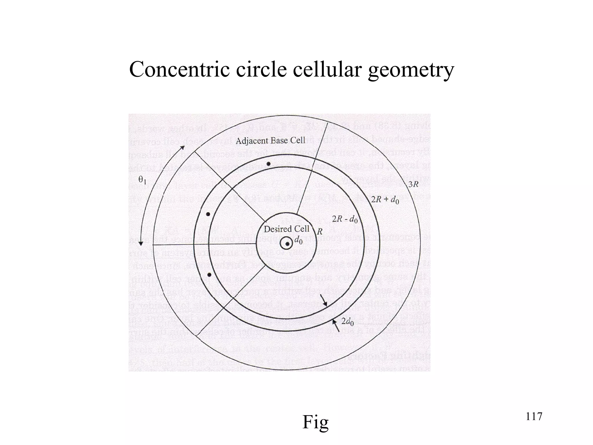 Concentric circle cellular geometry Fig 