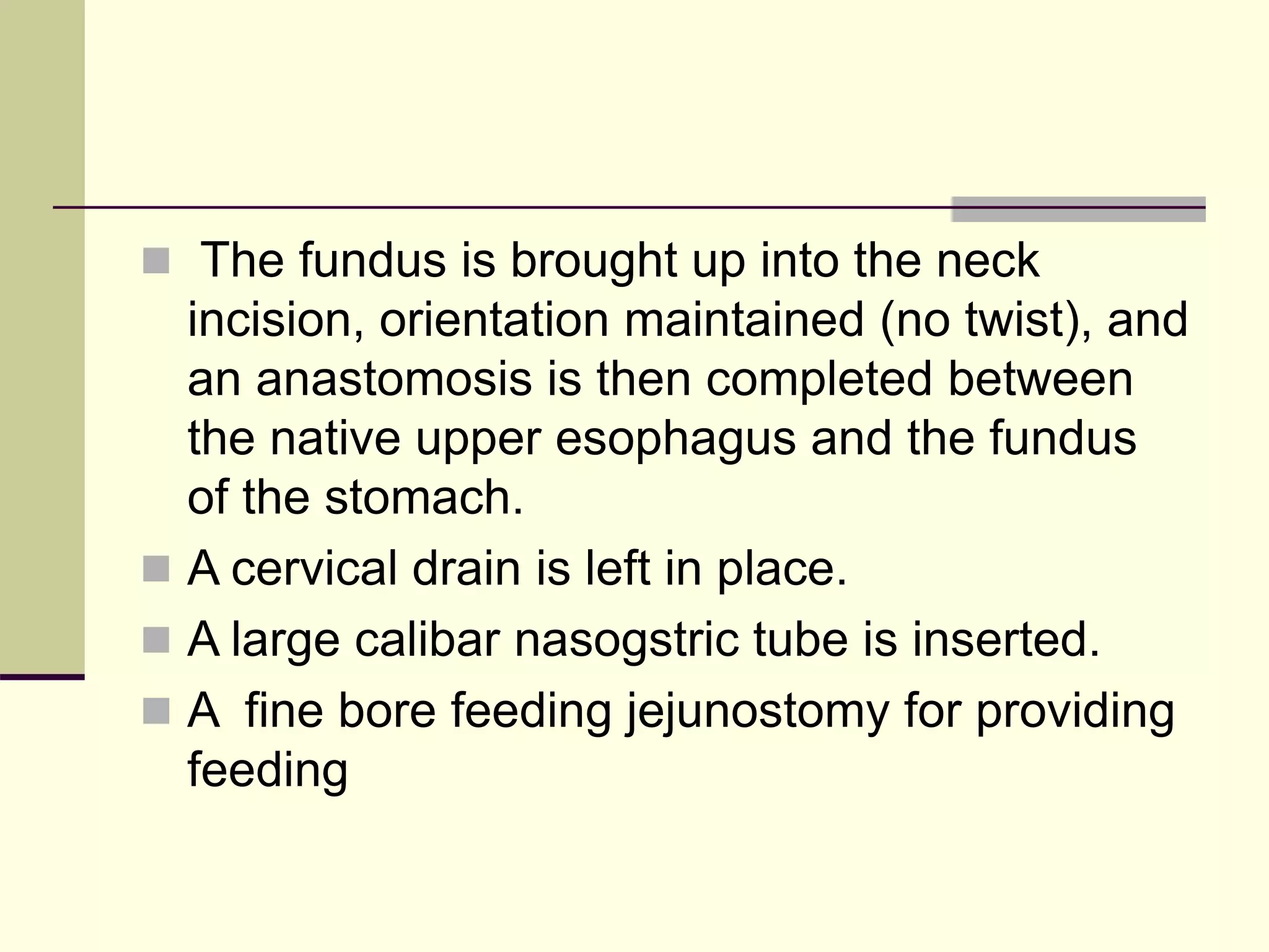  The fundus is brought up into the neck
incision, orientation maintained (no twist), and
an anastomosis is then completed between
the native upper esophagus and the fundus
of the stomach.
 A cervical drain is left in place.
 A large calibar nasogstric tube is inserted.
 A fine bore feeding jejunostomy for providing
feeding
 