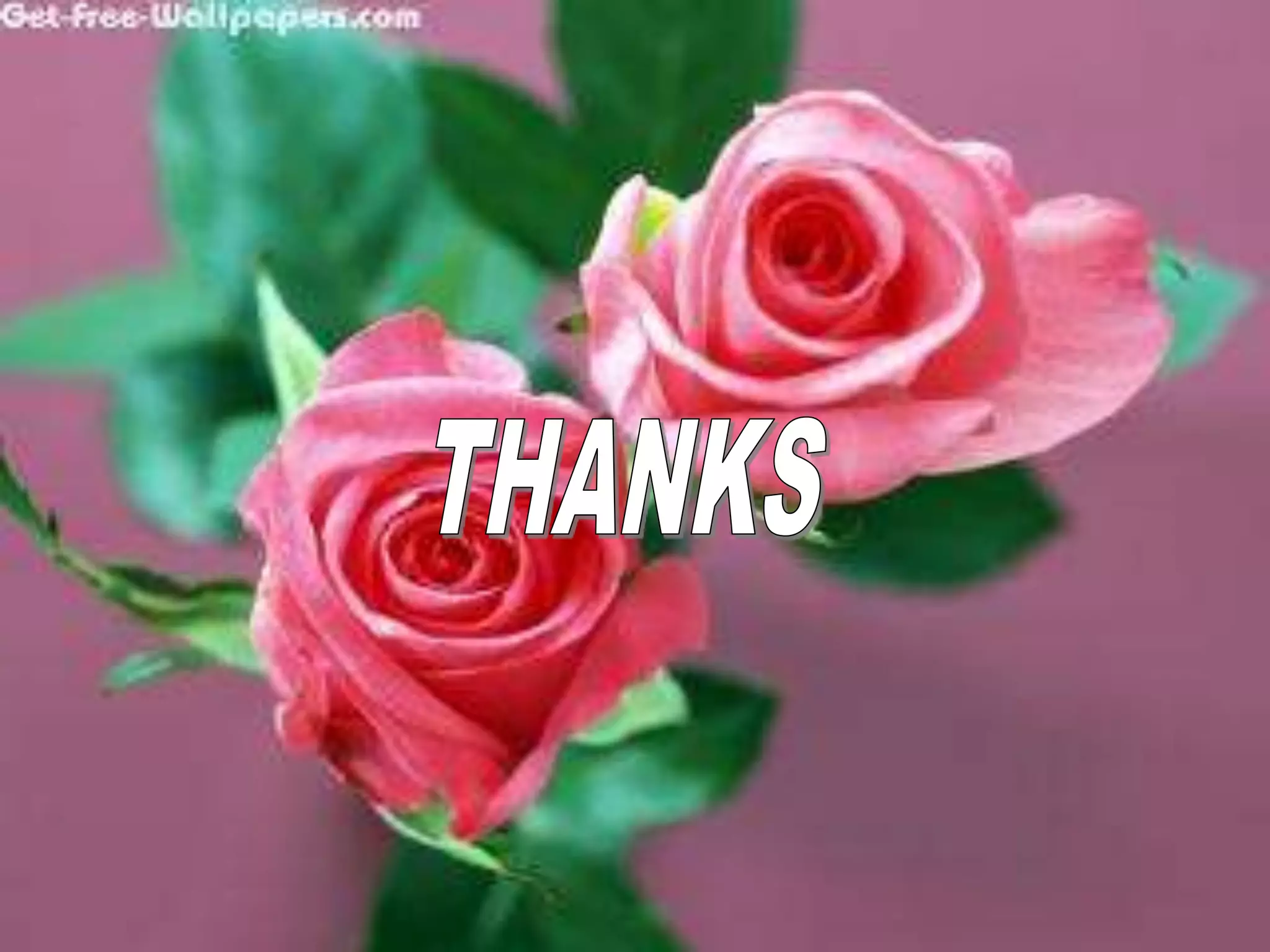 EA - Copy - Copy.ppt