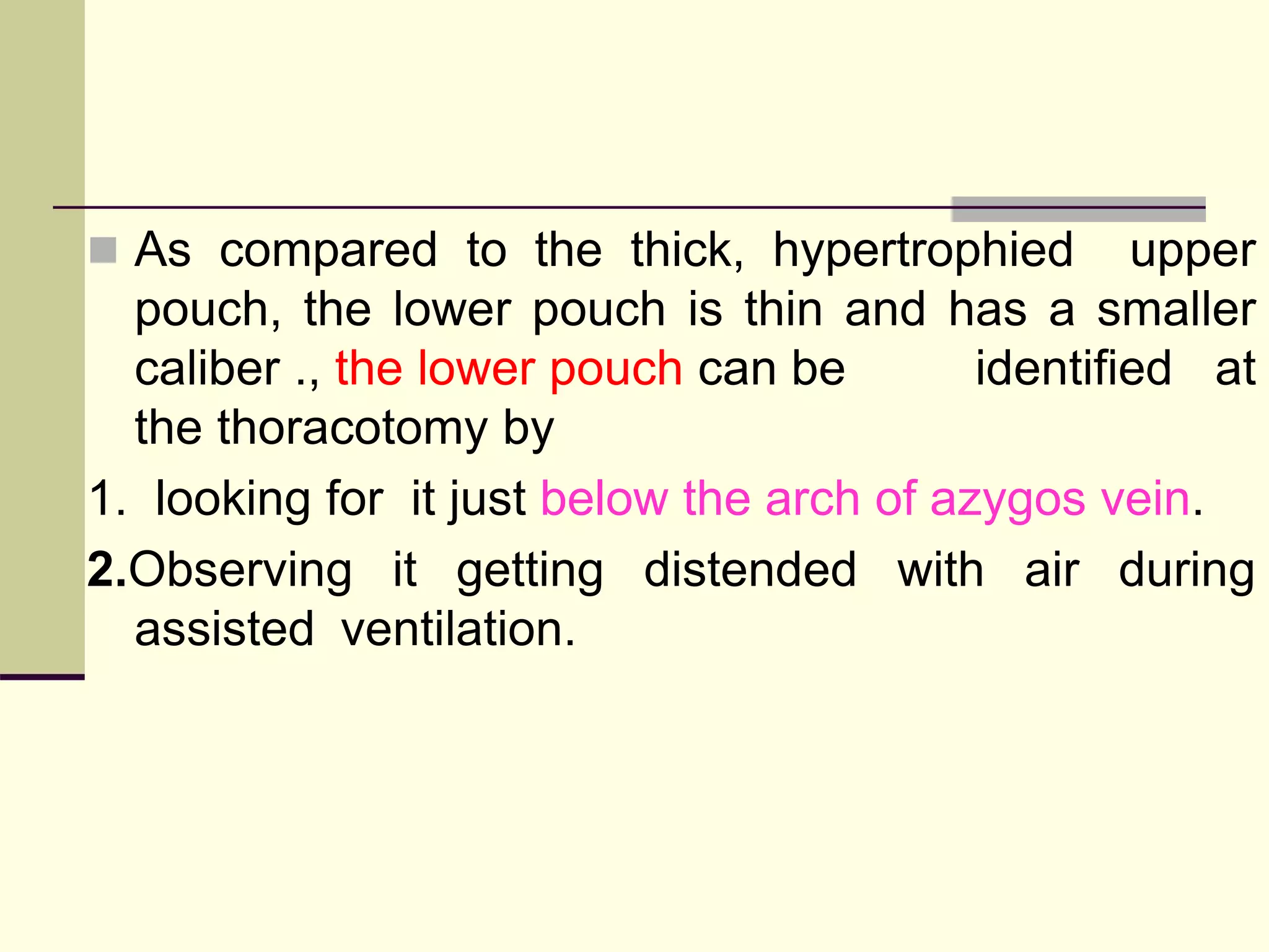  As compared to the thick, hypertrophied upper
pouch, the lower pouch is thin and has a smaller
caliber ., the lower pouch can be identified at
the thoracotomy by
1. looking for it just below the arch of azygos vein.
2.Observing it getting distended with air during
assisted ventilation.
 