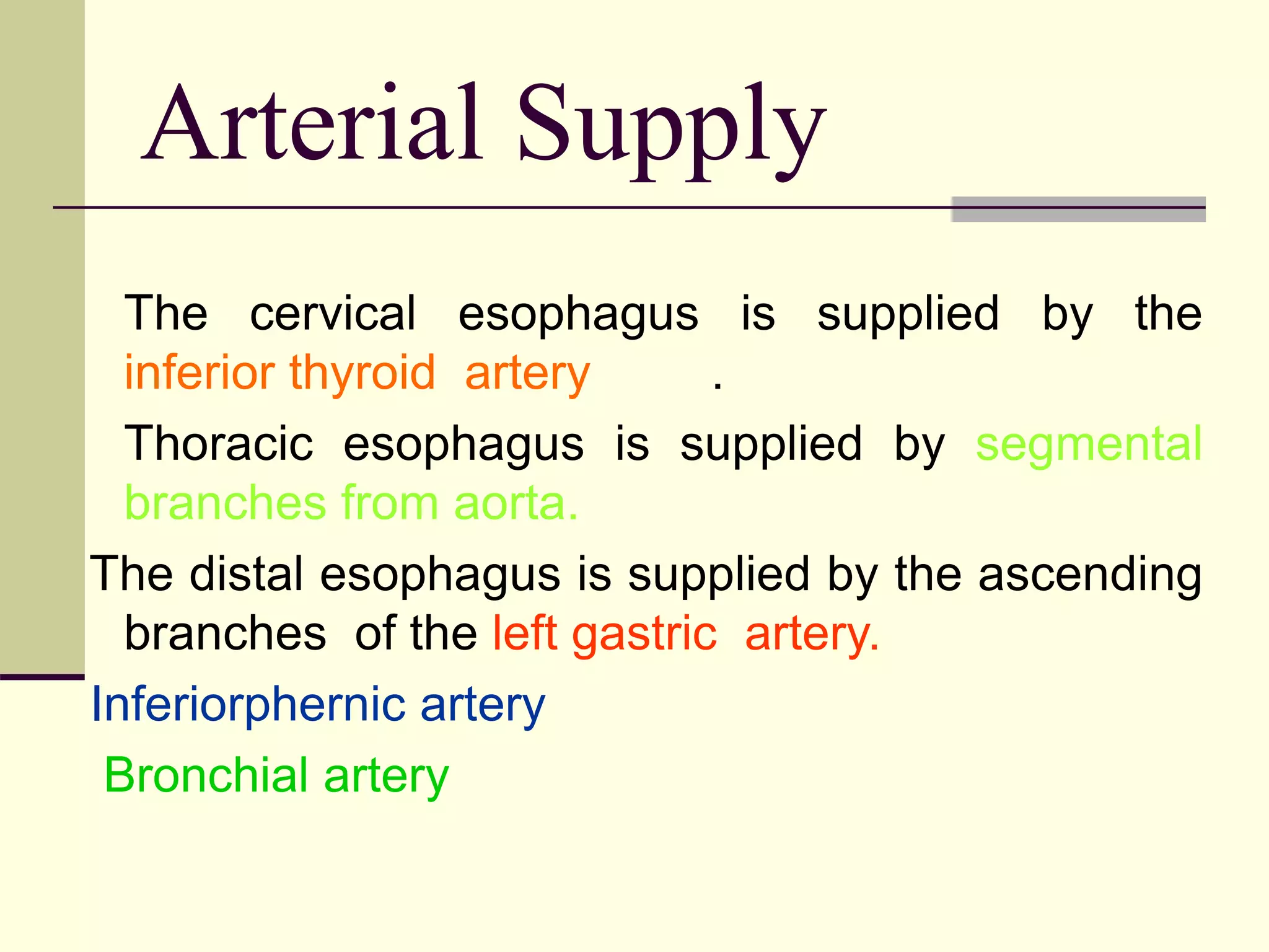 Arterial Supply
The cervical esophagus is supplied by the
inferior thyroid artery .
Thoracic esophagus is supplied by segmental
branches from aorta.
The distal esophagus is supplied by the ascending
branches of the left gastric artery.
Inferiorphernic artery
Bronchial artery
 
