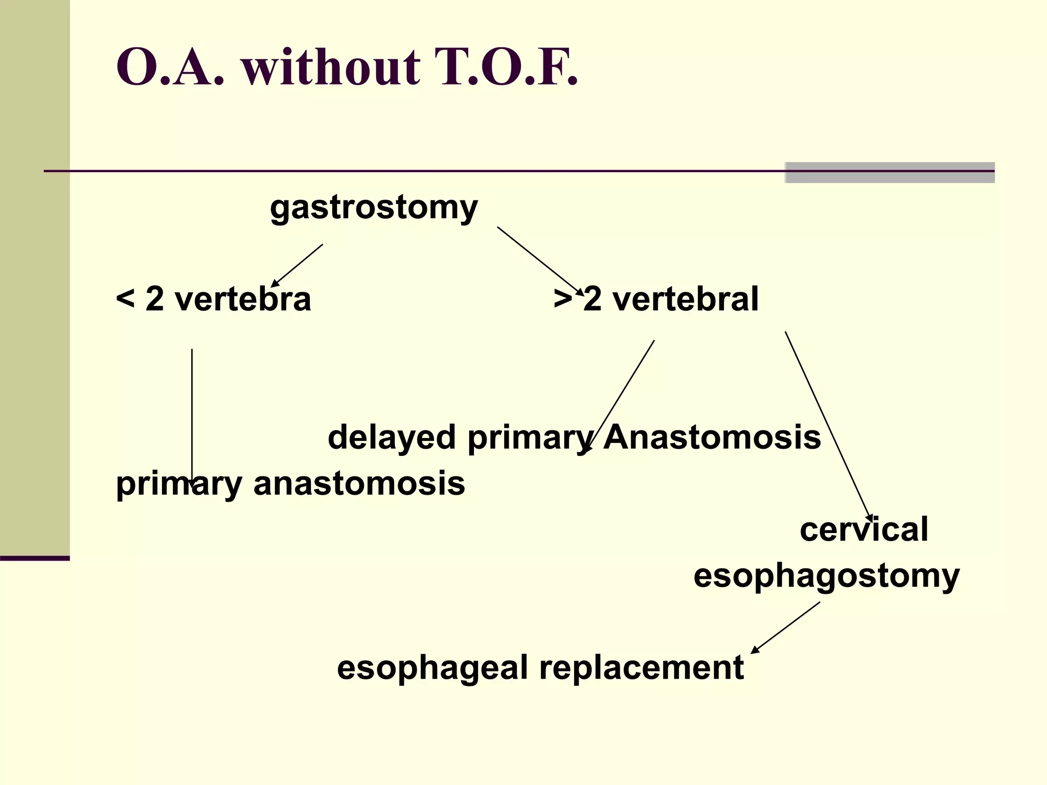 O.A. without T.O.F.
gastrostomy
< 2 vertebra > 2 vertebraI
delayed primary Anastomosis
primary anastomosis
cervical
esophagostomy
esophageal replacement
 