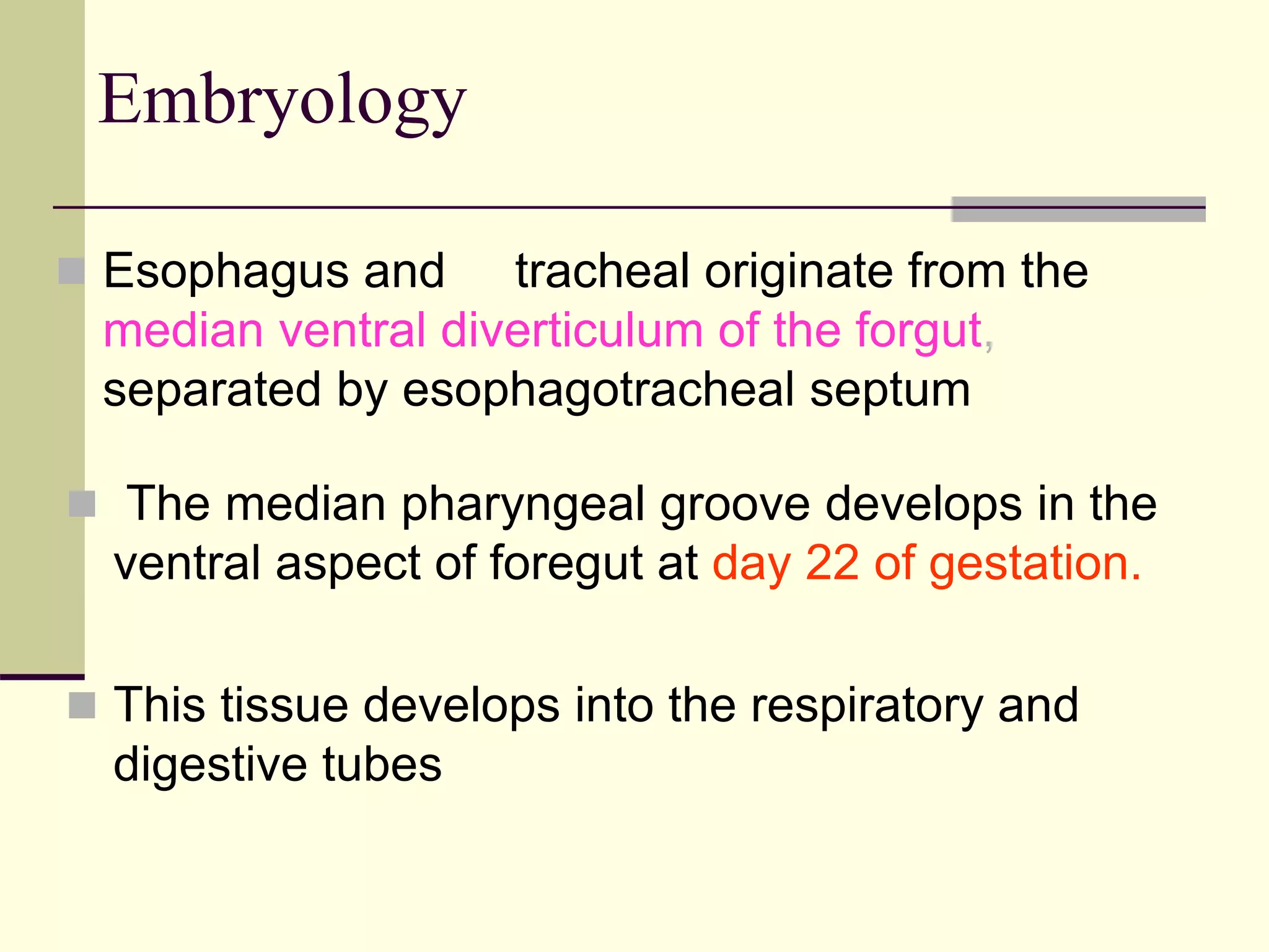  The median pharyngeal groove develops in the
ventral aspect of foregut at day 22 of gestation.
 This tissue develops into the respiratory and
digestive tubes
Embryology
 Esophagus and tracheal originate from the
median ventral diverticulum of the forgut,
separated by esophagotracheal septum
 