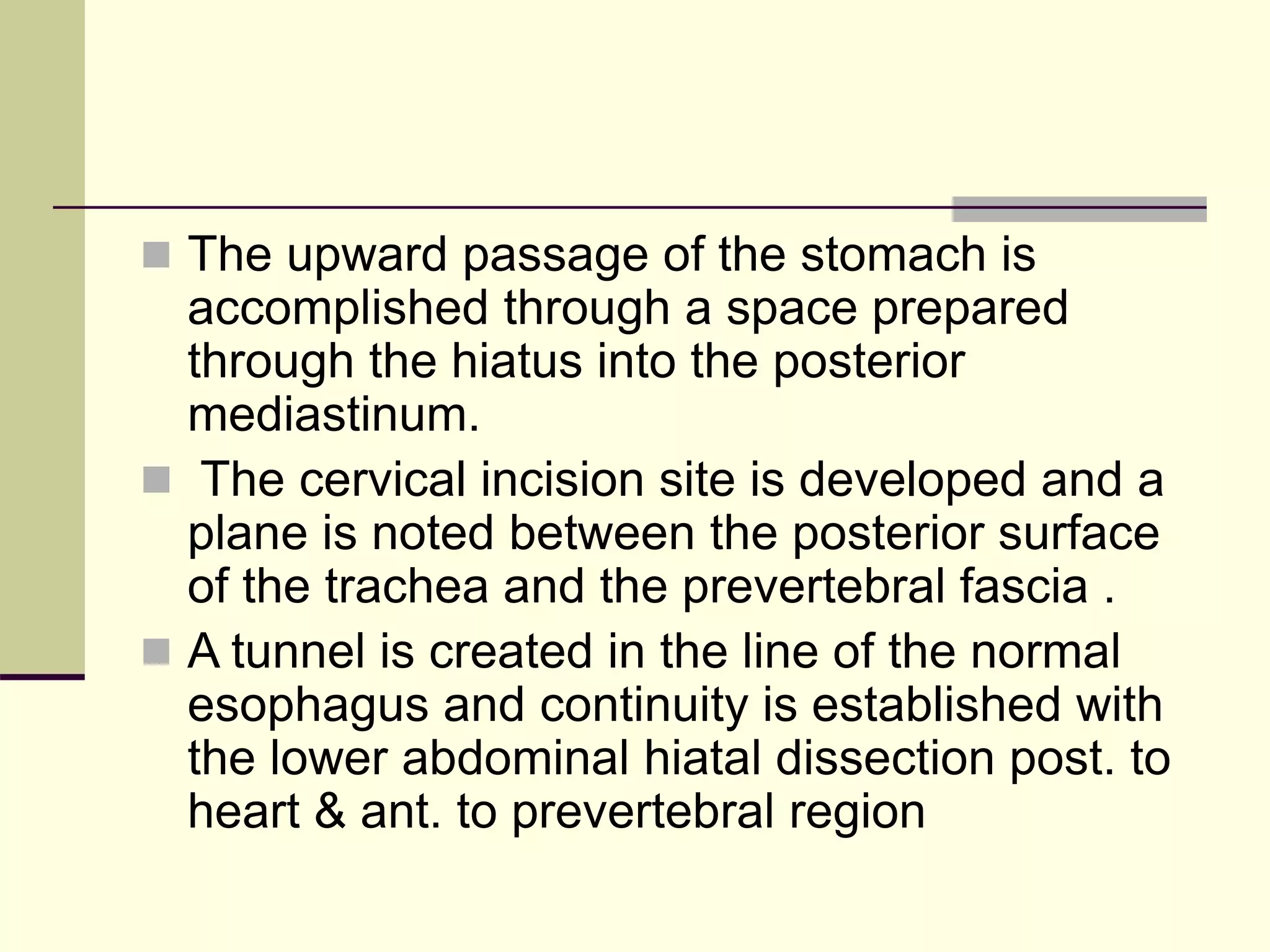  The upward passage of the stomach is
accomplished through a space prepared
through the hiatus into the posterior
mediastinum.
 The cervical incision site is developed and a
plane is noted between the posterior surface
of the trachea and the prevertebral fascia .
 A tunnel is created in the line of the normal
esophagus and continuity is established with
the lower abdominal hiatal dissection post. to
heart & ant. to prevertebral region
 