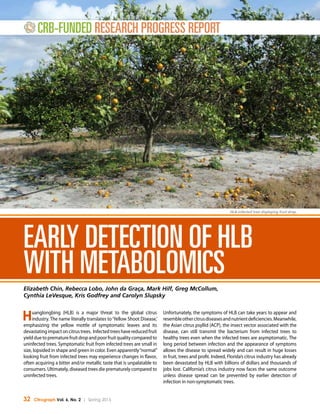 32 Citrograph Vol. 6, No. 2 | Spring 2015
crb-funded Research Progress report
Early Detection of HLB
with Metabolomics
Elizabeth Chin, Rebecca Lobo, John da Graça, Mark Hilf, Greg McCollum,
Cynthia LeVesque, Kris Godfrey and Carolyn Slupsky
Huanglongbing (HLB) is a major threat to the global citrus
industry. The name literally translates to‘Yellow Shoot Disease,’
emphasizing the yellow mottle of symptomatic leaves and its
devastatingimpactoncitrustrees. Infectedtreeshavereducedfruit
yieldduetoprematurefruitdropandpoorfruitqualitycomparedto
uninfected trees. Symptomatic fruit from infected trees are small in
size, lopsided in shape and green in color. Even apparently“normal”
looking fruit from infected trees may experience changes in flavor,
often acquiring a bitter and/or metallic taste that is unpalatable to
consumers. Ultimately, diseased trees die prematurely compared to
uninfected trees.
Unfortunately, the symptoms of HLB can take years to appear and
resembleothercitrusdiseasesandnutrientdeficiencies.Meanwhile,
the Asian citrus psyllid (ACP), the insect vector associated with the
disease, can still transmit the bacterium from infected trees to
healthy trees even when the infected trees are asymptomatic. The
long period between infection and the appearance of symptoms
allows the disease to spread widely and can result in huge losses
in fruit, trees and profit. Indeed, Florida’s citrus industry has already
been devastated by HLB with billions of dollars and thousands of
jobs lost. California’s citrus industry now faces the same outcome
unless disease spread can be prevented by earlier detection of
infection in non-symptomatic trees.
HLB-infected tree displaying fruit drop.
 