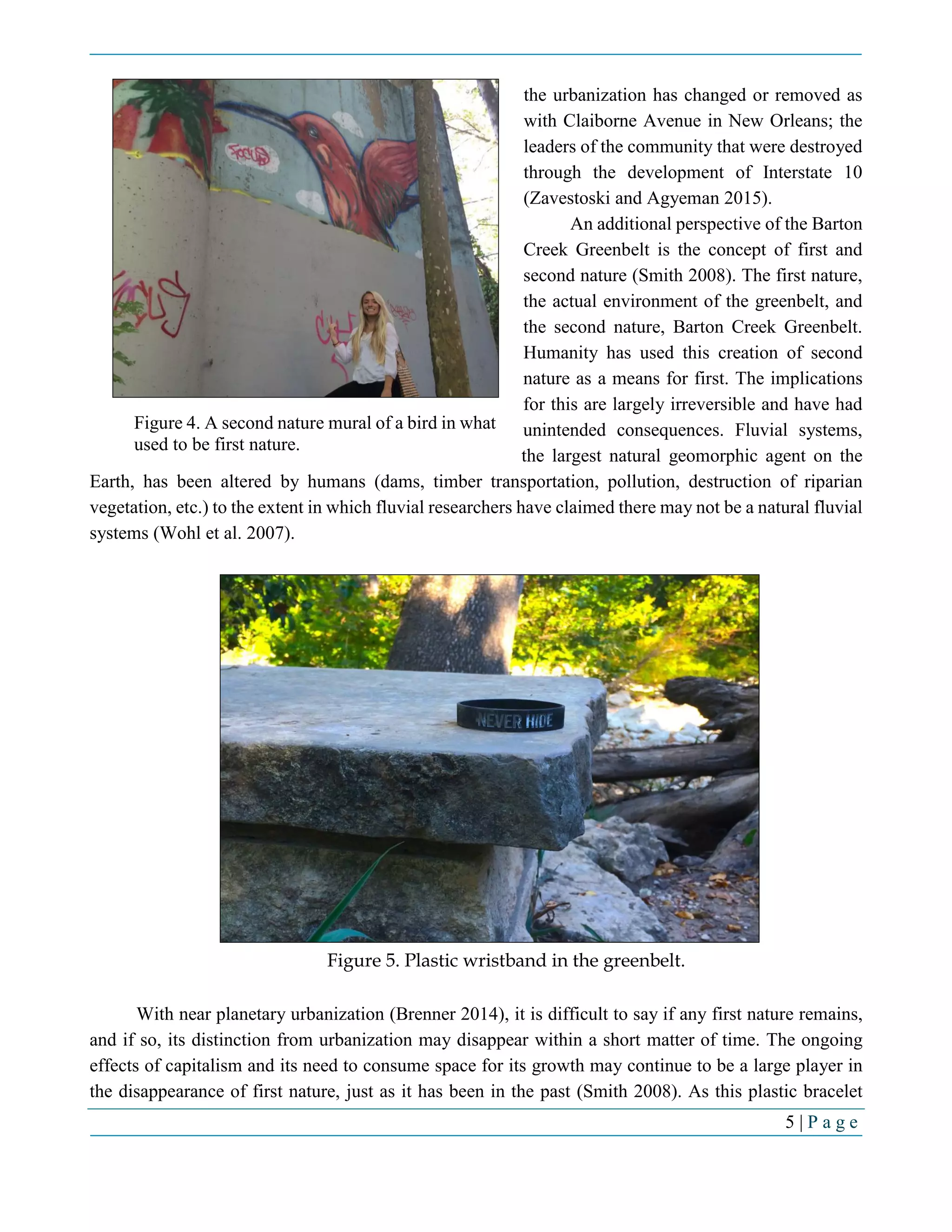 5 | P a g e
the urbanization has changed or removed as
with Claiborne Avenue in New Orleans; the
leaders of the community that were destroyed
through the development of Interstate 10
(Zavestoski and Agyeman 2015).
An additional perspective of the Barton
Creek Greenbelt is the concept of first and
second nature (Smith 2008). The first nature,
the actual environment of the greenbelt, and
the second nature, Barton Creek Greenbelt.
Humanity has used this creation of second
nature as a means for first. The implications
for this are largely irreversible and have had
unintended consequences. Fluvial systems,
the largest natural geomorphic agent on the
Earth, has been altered by humans (dams, timber transportation, pollution, destruction of riparian
vegetation, etc.) to the extent in which fluvial researchers have claimed there may not be a natural fluvial
systems (Wohl et al. 2007).
With near planetary urbanization (Brenner 2014), it is difficult to say if any first nature remains,
and if so, its distinction from urbanization may disappear within a short matter of time. The ongoing
effects of capitalism and its need to consume space for its growth may continue to be a large player in
the disappearance of first nature, just as it has been in the past (Smith 2008). As this plastic bracelet
Figure 5. Plastic wristband in the greenbelt.
Figure 4. A second nature mural of a bird in what
used to be first nature.
 
