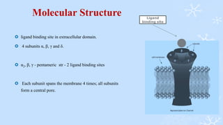 Molecular Structure
 ligand binding site in extracellular domain.
 4 subunits α, β, γ and δ.
 α2, β, γ - pentameric str - 2 ligand binding sites
 Each subunit spans the membrane 4 times; all subunits
form a central pore.
Ligand
binding site
 