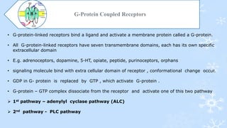 G-Protein Coupled Receptors
• G-protein-linked receptors bind a ligand and activate a membrane protein called a G-protein.
• All G-protein-linked receptors have seven transmembrane domains, each has its own specific
extracellular domain
• E.g. adrenoceptors, dopamine, 5-HT, opiate, peptide, purinoceptors, orphans
• signaling molecule bind with extra cellular domain of receptor , conformational change occur.
• GDP in G- protein is replaced by GTP , which activate G-protein .
• G-protein – GTP complex dissociate from the receptor and activate one of this two pathway
 1st pathway – adenylyl cyclase pathway (ALC)
 2nd pathway - PLC pathway
 