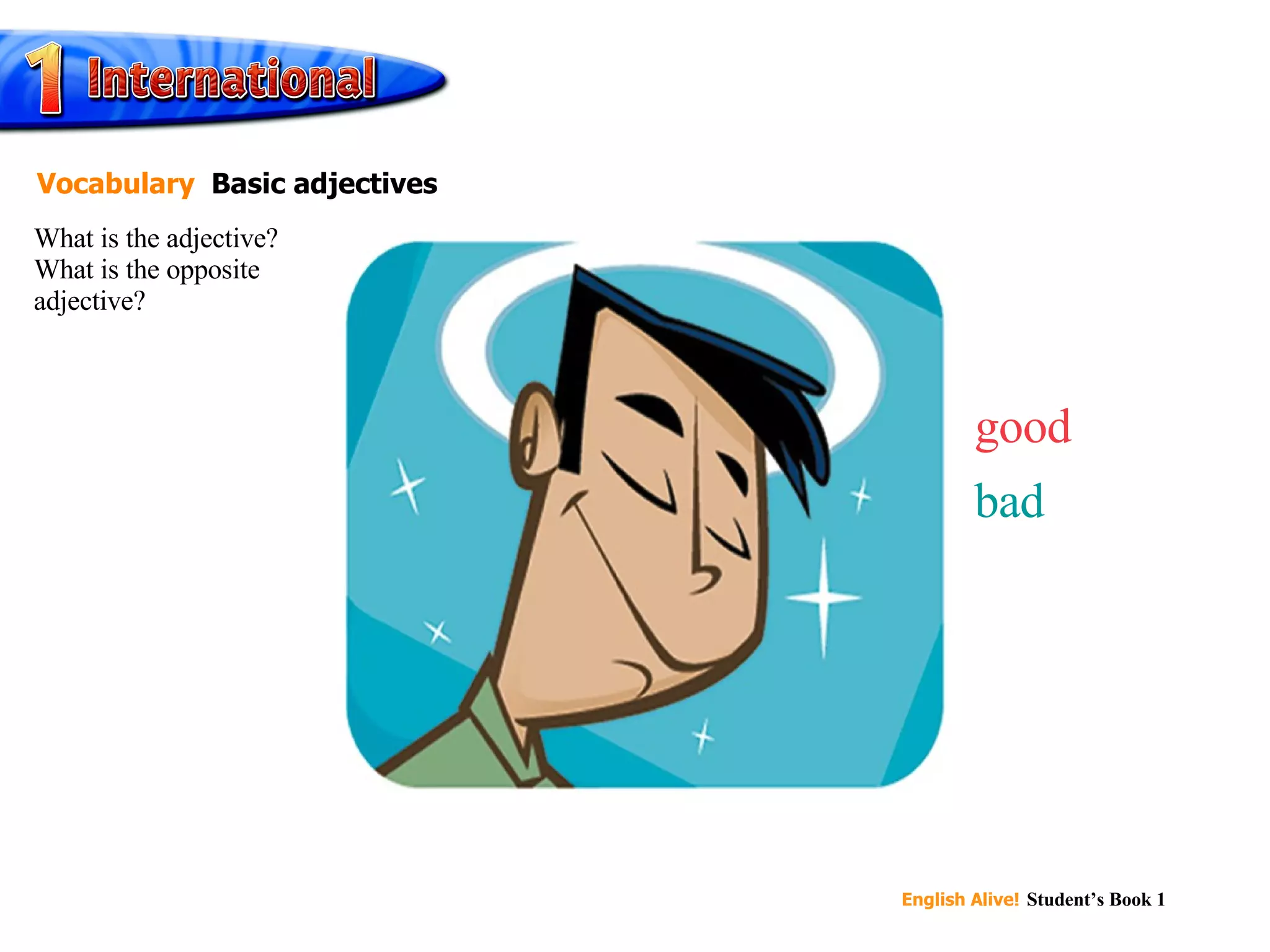 good bad What is the adjective? What is the opposite adjective? Vocabulary   Basic adjectives 