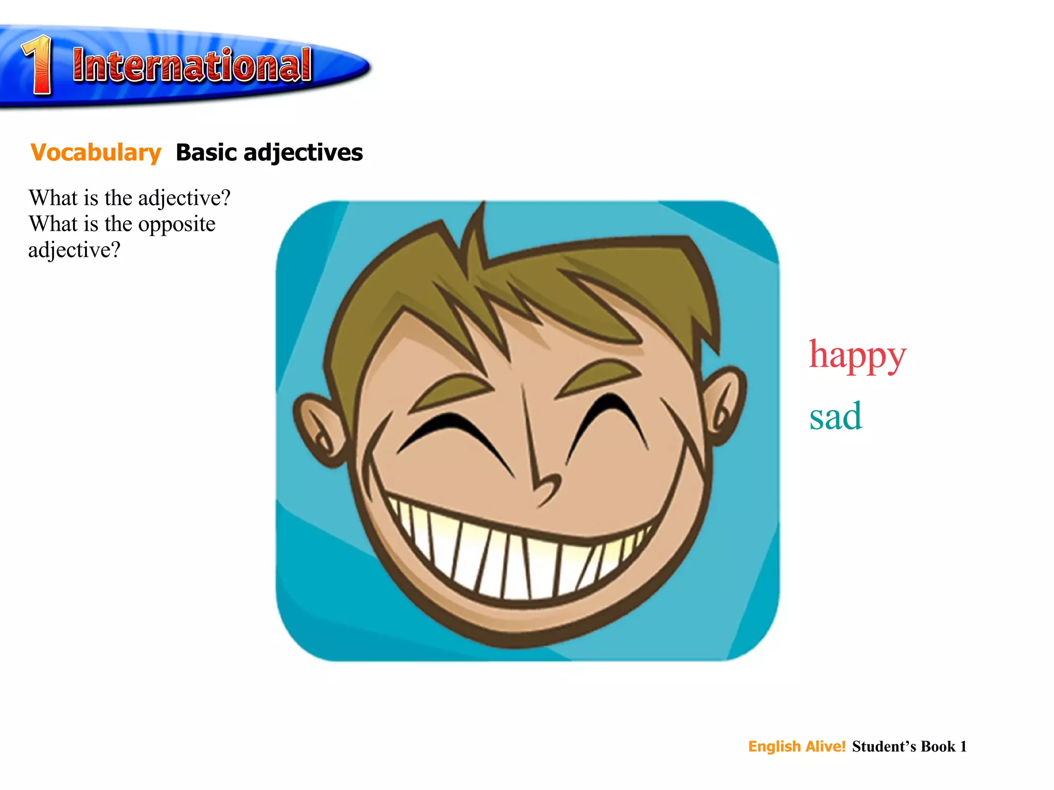 happy sad What is the adjective? What is the opposite adjective? Vocabulary   Basic adjectives 