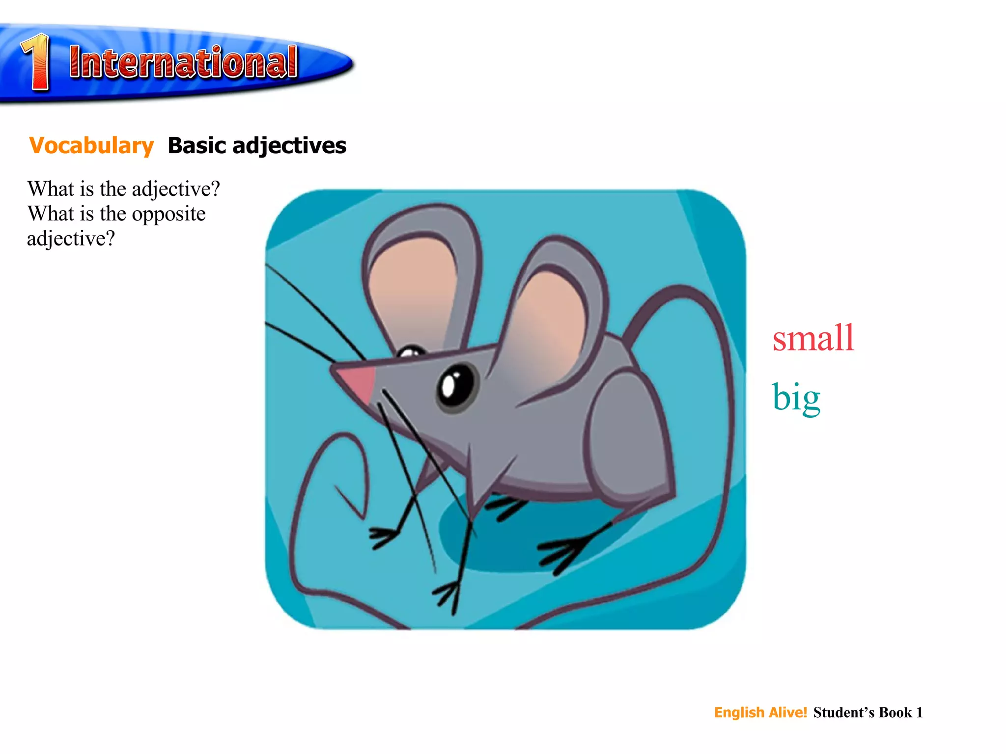 small big What is the adjective? What is the opposite adjective? Vocabulary   Basic adjectives 