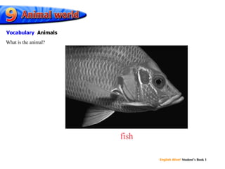 fish What is the animal? Vocabulary   Animals 