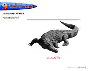 crocodile What is the animal? Vocabulary   Animals 