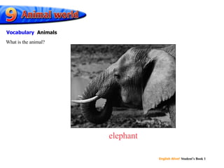 elephant What is the animal? Vocabulary   Animals 
