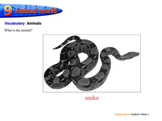 snake What is the animal? Vocabulary   Animals 