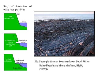 Coastal Land form | PPTX
