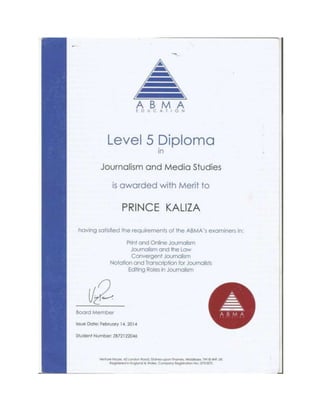 Proffesional Diploma