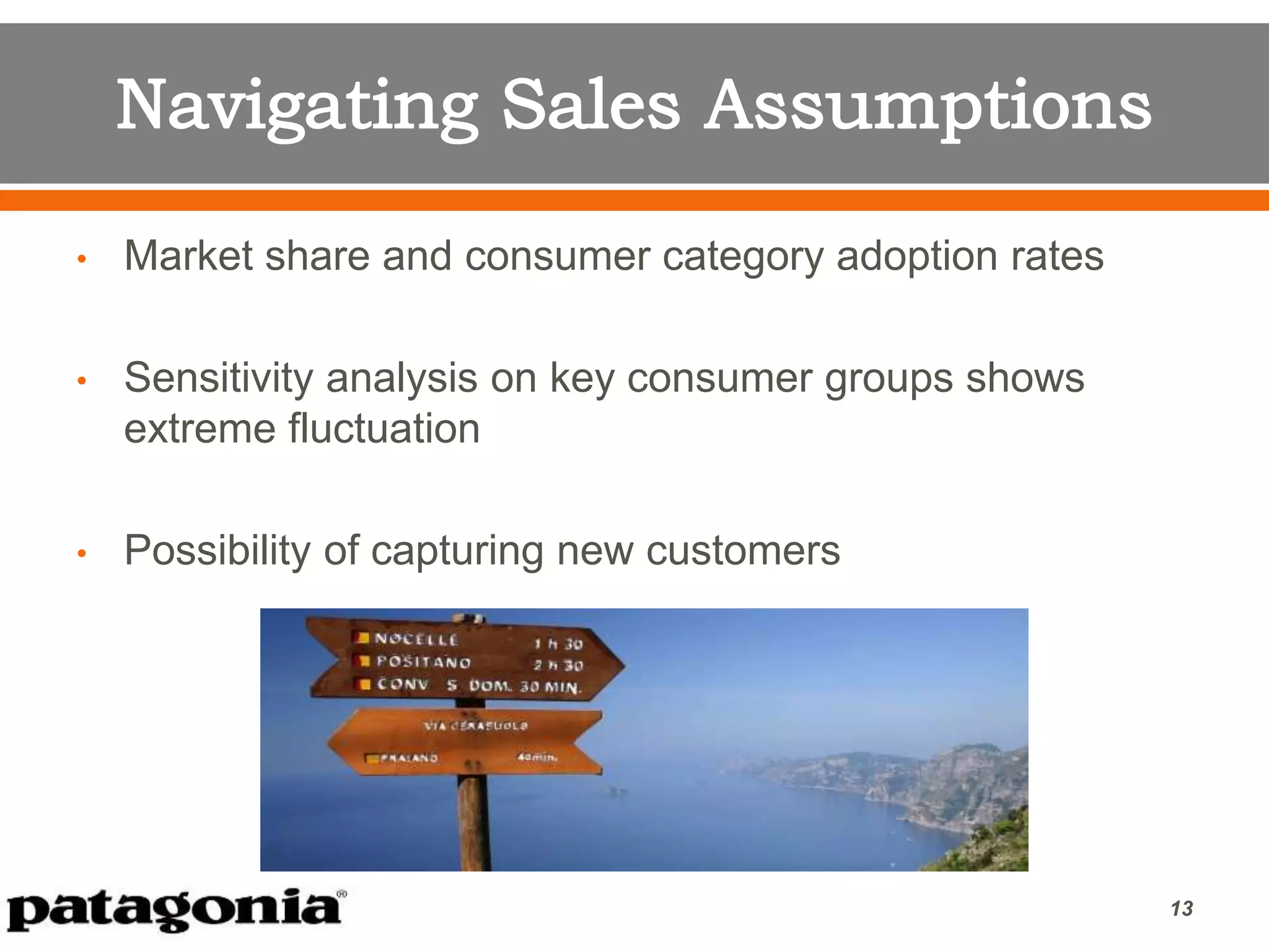 • Market share and consumer category adoption rates
• Sensitivity analysis on key consumer groups shows
extreme fluctuation
• Possibility of capturing new customers
13
 