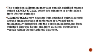 Comprehensive Overview of the Periodontal Ligament: Structure ...