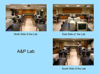 Side Lab Phoenix College Cadaver Lab and Anatomy & Physiology Lab | PPT