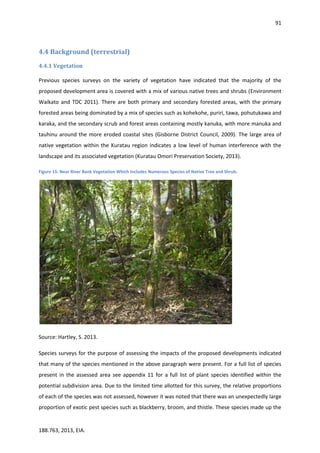 91
188.763, 2013, EIA.
4.4 Background (terrestrial)
4.4.1 Vegetation
Previous species surveys on the variety of vegetation have indicated that the majority of the
proposed development area is covered with a mix of various native trees and shrubs (Environment
Waikato and TDC 2011). There are both primary and secondary forested areas, with the primary
forested areas being dominated by a mix of species such as kohekohe, puriri, tawa, pohutukawa and
karaka, and the secondary scrub and forest areas containing mostly kanuka, with more manuka and
tauhinu around the more eroded coastal sites (Gisborne District Council, 2009). The large area of
native vegetation within the Kuratau region indicates a low level of human interference with the
landscape and its associated vegetation (Kuratau Omori Preservation Society, 2013).
Figure 15: Near River Bank Vegetation Which Includes Numerous Species of Native Tree and Shrub.
Source: Hartley, S. 2013.
Species surveys for the purpose of assessing the impacts of the proposed developments indicated
that many of the species mentioned in the above paragraph were present. For a full list of species
present in the assessed area see appendix 11 for a full list of plant species identified within the
potential subdivision area. Due to the limited time allotted for this survey, the relative proportions
of each of the species was not assessed, however it was noted that there was an unexpectedly large
proportion of exotic pest species such as blackberry, broom, and thistle. These species made up the
 