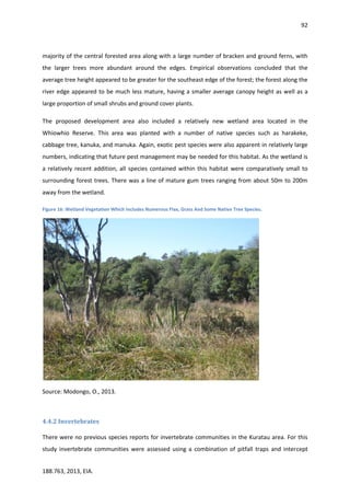 92
188.763, 2013, EIA.
majority of the central forested area along with a large number of bracken and ground ferns, with
the larger trees more abundant around the edges. Empirical observations concluded that the
average tree height appeared to be greater for the southeast edge of the forest; the forest along the
river edge appeared to be much less mature, having a smaller average canopy height as well as a
large proportion of small shrubs and ground cover plants.
The proposed development area also included a relatively new wetland area located in the
Whiowhio Reserve. This area was planted with a number of native species such as harakeke,
cabbage tree, kanuka, and manuka. Again, exotic pest species were also apparent in relatively large
numbers, indicating that future pest management may be needed for this habitat. As the wetland is
a relatively recent addition, all species contained within this habitat were comparatively small to
surrounding forest trees. There was a line of mature gum trees ranging from about 50m to 200m
away from the wetland.
Figure 16: Wetland Vegetation Which Includes Numerous Flax, Grass And Some Native Tree Species.
Source: Modongo, O., 2013.
4.4.2 Invertebrates
There were no previous species reports for invertebrate communities in the Kuratau area. For this
study invertebrate communities were assessed using a combination of pitfall traps and intercept
 