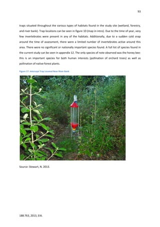 93
188.763, 2013, EIA.
traps situated throughout the various types of habitats found in the study site (wetland, forestry,
and river bank). Trap locations can be seen in figure 10 (map in intro). Due to the time of year, very
few invertebrates were present in any of the habitats. Additionally, due to a sudden cold snap
around the time of assessment, there were a limited number of invertebrates active around this
area. There were no significant or nationally important species found. A full list of species found in
the current study can be seen in appendix 12. The only species of note observed was the honey bee:
this is an important species for both human interests (pollination of orchard trees) as well as
pollination of native forest plants.
Figure 17: Intercept Trap Located Near River Bank
Source: Stewart, N. 2013.
 