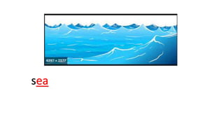 sea