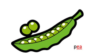 pea