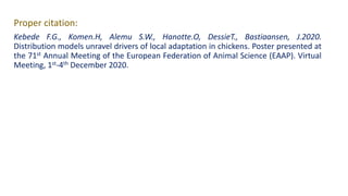 Distribution models unravel drivers of local adaptation in chickens