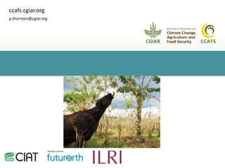 Livestock and climate change: Can we steer a path between the devil and the deep blue sea?