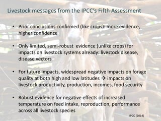 Livestock and climate change: Can we steer a path between the devil and the deep blue sea?