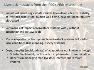 Livestock and climate change: Can we steer a path between the devil and the deep blue sea?