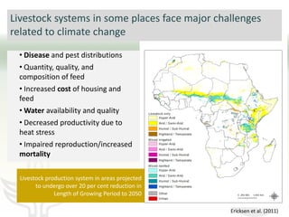 Livestock and climate change: Can we steer a path between the devil and the deep blue sea?