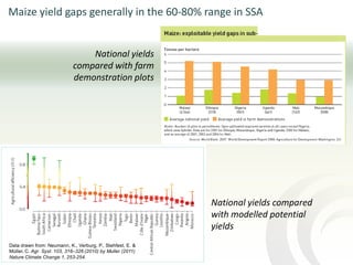 The role of mixed crop-livestock farming systems in ensuring food security