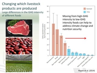 The role of mixed crop-livestock farming systems in ensuring food security