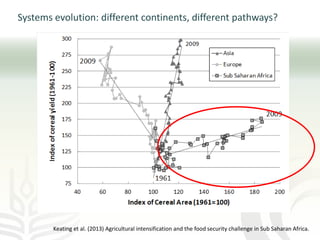 The role of mixed crop-livestock farming systems in ensuring food security