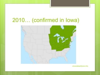 2010… (confirmed in Iowa)
emeraldashborer.info
 