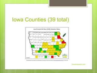 Iowa Counties (39 total)
Iowatreepests.com
 