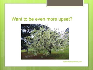 Want to be even more upset?
Statebystategardening.com
 