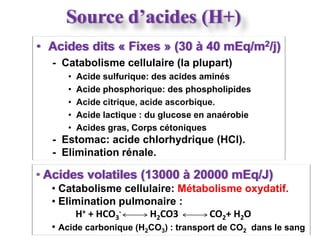 Source d’acides (H+)
• Acides dits « Fixes » (30 à 40 mEq/m2/j)
  - Catabolisme cellulaire (la plupart)
     •   Acide sulfurique: des acides aminés
     •   Acide phosphorique: des phospholipides
     •   Acide citrique, acide ascorbique.
     •   Acide lactique : du glucose en anaérobie
     •   Acides gras, Corps cétoniques
  - Estomac: acide chlorhydrique (HCl).
  - Elimination rénale.

• Acides volatiles (13000 à 20000 mEq/J)
  • Catabolisme cellulaire: Métabolisme oxydatif.
  • Elimination pulmonaire :
        H+ + HCO3-      H2CO3         CO2+ H2O
  • Acide carbonique (H2CO3) : transport de CO2 dans le sang
 