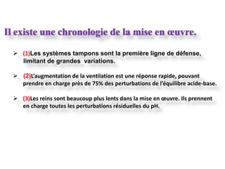 Il existe une chronologie de la mise en œuvre.

   (1)Les systèmes tampons sont la première ligne de défense,
    limitant de grandes variations.

   (2)L’augmentation de la ventilation est une réponse rapide, pouvant
    prendre en charge près de 75% des perturbations de l’équilibre acide-base.

   (3)Les reins sont beaucoup plus lents dans la mise en œuvre. Ils prennent
    en charge toutes les perturbations résiduelles du pH.
 