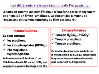 Les différents systèmes tampons de l’organisme
Le tampon comme son nom l’indique n’empêche pas le changement
de pH mais il en limite l’amplitude. La plupart des tampons de
l’organisme ont comme fonctions de fixer des ions H+.


         Intracellulaires                         Extracellulaires
Ce sont surtout:                           Tampon H2CO3 / HCO3- .
 les protéines.                           Tampon phosphate.
                                           Tampon protéines.
 les ions phosphates (HPO42-).
 l’hémoglobine-                          Ce sont les bicarbonates produits par
  oxyhémoglobine.                         le métabolisme du CO2 qui constituent
Le tamponnement des ions H+ par           le système tampon extracellulaire le
l’Hb libère dans le GR un ion HCO3- qui   plus important de l’organisme.
va gagner le plasma (échange avec Cl-).
 