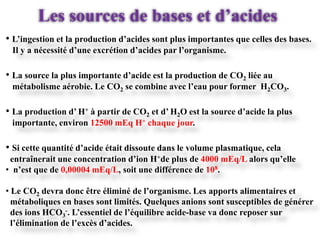 Les sources de bases et d’acides
• L’ingestion et la production d’acides sont plus importantes que celles des bases.
 Il y a nécessité d’une excrétion d’acides par l’organisme.

• La source la plus importante d’acide est la production de CO2 liée au
 métabolisme aérobie. Le CO2 se combine avec l’eau pour former H2CO3.

• La production d’ H+ à partir de CO2 et d’ H2O est la source d’acide la plus
 importante, environ 12500 mEq H+ chaque jour.

• Si cette quantité d’acide était dissoute dans le volume plasmatique, cela
 entraînerait une concentration d’ion H+de plus de 4000 mEq/L alors qu’elle
• n’est que de 0,00004 mEq/L, soit une différence de 108.

• Le CO2 devra donc être éliminé de l’organisme. Les apports alimentaires et
  métaboliques en bases sont limités. Quelques anions sont susceptibles de générer
  des ions HCO3-. L’essentiel de l’équilibre acide-base va donc reposer sur
  l’élimination de l’excès d’acides.
 