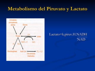 Metabolismo del Piruvato y Lactato Lactato=k.piruv.H.NADH NAD 