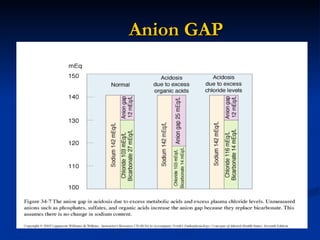 Anion GAP 
