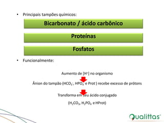 • Principais tampões químicos:
Bicarbonato / ácido carbônico
Proteínas
Fosfatos
• Funcionalmente:
Aumento de [H+] no organismo
Ânion do tampão (HCO3
-, HPO4
- e Prot-) recebe excesso de prótons
Transforma em seu ácido conjugado
(H2CO3, H2PO4 e HProt)
 