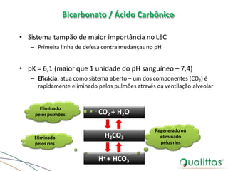 Bicarbonato / Ácido Carbônico
• Sistema tampão de maior importância no LEC
– Primeira linha de defesa contra mudanças no pH
• pK = 6,1 (maior que 1 unidade do pH sanguíneo – 7,4)
– Eficácia: atua como sistema aberto – um dos componentes (CO2) é
rapidamente eliminado pelos pulmões através da ventilação alveolar
CO2 + H2O
H2CO3
-
H+ + HCO3
Eliminado
pelos pulmões
Eliminado
pelos rins
Regenerado ou
eliminado
pelos rins
 