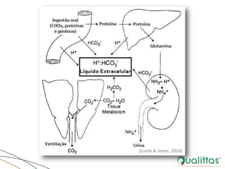 (Lumb & Jones, 2014)
 
