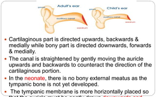  Cartilaginous part is directed upwards, backwards & 
medially while bony part is directed downwards, forwards 
& medially. 
 The canal is straightened by gently moving the auricle 
upwards and backwards to counteract the direction of the 
cartilaginous portion. 
 In the neonate, there is no bony external meatus as the 
tympanic bone is not yet developed. 
 The tympanic membrane is more horizontally placed so 
that the auricle must be gently drawn downwards and 
 
